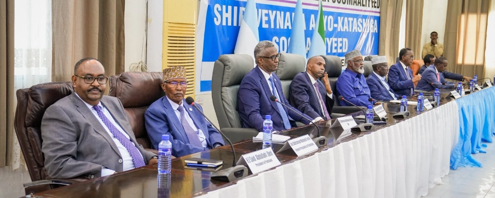 Political contestation and elite resistance